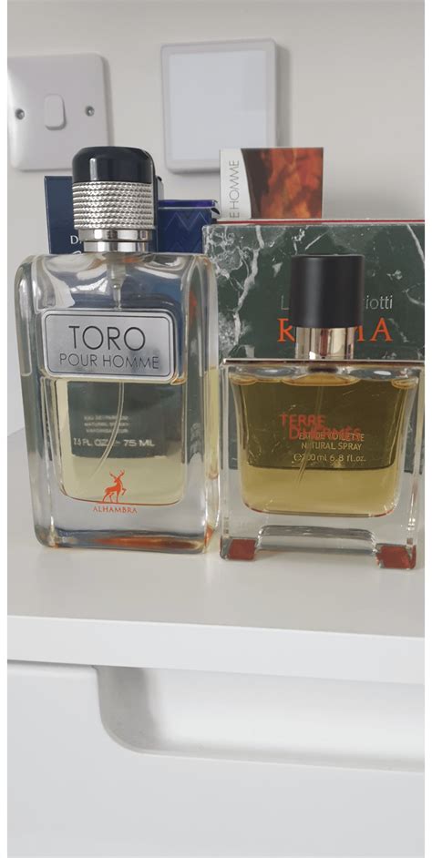 terre d hermes clone